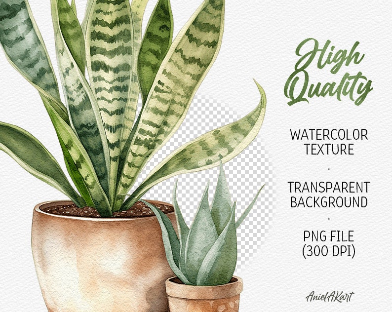 May include: Watercolor painting of two potted plants. The larger plant has long, green leaves with white stripes. The smaller plant has short, green leaves. Both plants are in brown pots.