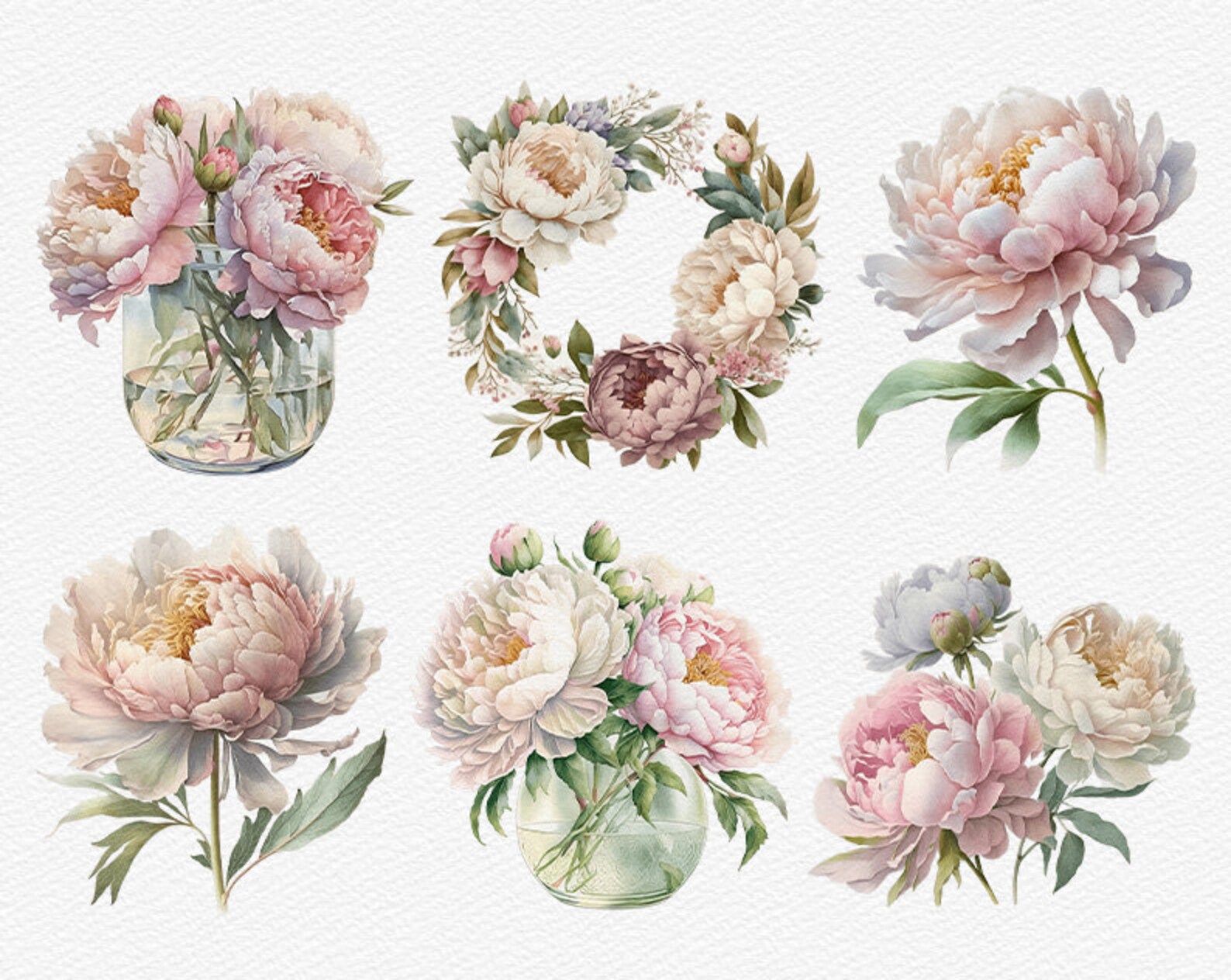 Watercolor Pink Peonies Clipart White Peony Bundle PNG Sublimation ...