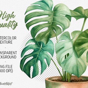 May include: Watercolor painting of a potted Monstera plant with large, green leaves. The plant is in a terracotta pot and has a transparent background.