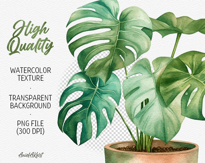 May include: Watercolor painting of a potted Monstera plant with large, green leaves. The plant is in a terracotta pot and has a transparent background.