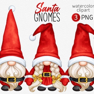 Christmas gnomes PNG clipart Cute Watercolor Santa Gnomes Hand drawn Gnome Scandinavian Christmas Clipart Instant download Commercial use