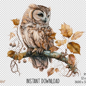 May include: A brown and white owl perched on a branch with autumn leaves. The owl has large, yellow eyes and a detailed, realistic appearance. The image is a digital illustration.