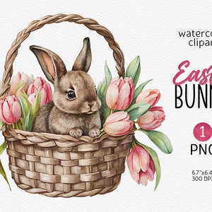 Easter Bunny Clipart, simpatico coniglietto acquerello nel cestino Pasqua PNG Baby Shower Clipart Nursery Decor Digital Download, uso commerciale