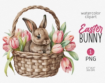 Easter Bunny Clipart, Cute Watercolor Baby Rabbit in basket Easter PNG Baby Shower Clipart Nursery Decor Digital Download, Commercial Use