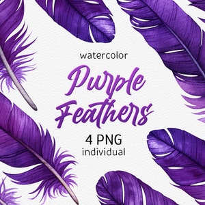 May include: Watercolor illustration of four purple feathers. The feathers are arranged in a circular pattern on a white background. The text "watercolor purple feathers 4 PNG individual" is written below the feathers.