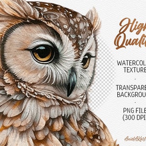 May include: A watercolor painting of an owl's face with brown and white feathers. The owl's eyes are large and yellow, and the background is transparent.