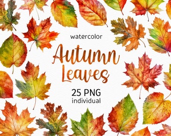 Watercolor Autumn Leaves Clipart Fall leaf PNG Fall Decor Thanksgiving Clipart Scrapbook Printables Forest Digital Download Commercial Use