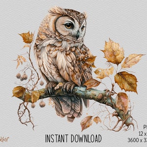May include: A watercolor painting of a brown and white owl perched on a branch with autumn leaves. The owl has large, yellow eyes and is looking to the left. The leaves are a mix of orange, yellow, and brown.