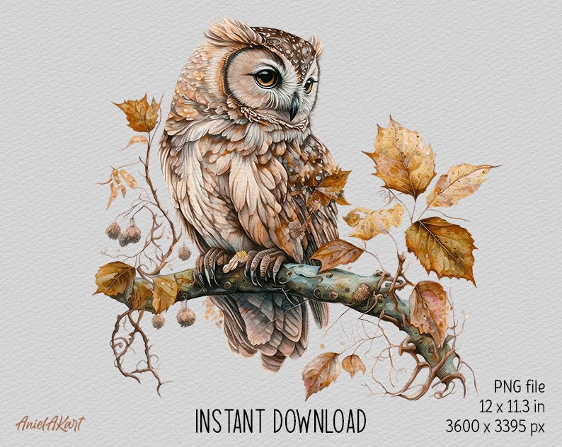 May include: A watercolor painting of a brown and white owl perched on a branch with autumn leaves. The owl has large, yellow eyes and is looking to the left. The leaves are a mix of orange, yellow, and brown.