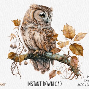 May include: A watercolor painting of a brown and white owl perched on a branch with autumn leaves. The owl has large, yellow eyes and is looking to the right. The leaves are a mix of orange, yellow, and brown.