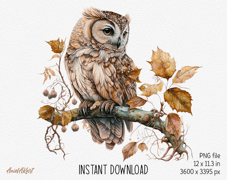 May include: A watercolor painting of a brown and white owl perched on a branch with autumn leaves. The owl has large, yellow eyes and is looking to the right. The leaves are a mix of orange, yellow, and brown.