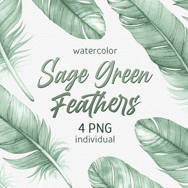 Watercolor Sage Green Feather Clipart Exotic Boho Hand painted Bohemian clip art Digital Scrapbooking set green wedding PNG commercial use