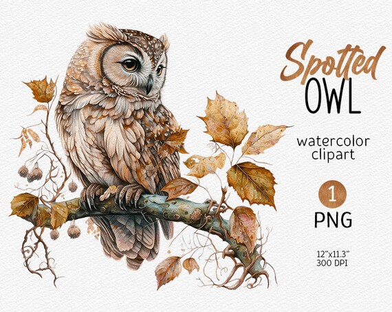 Watercolor Owl clipart Owl PNG Owl Sublimation Owl Boho png Fantasy clipart mystical Owl magic clip art Digital Download, Commercial Use
