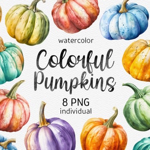 Watercolor Colorful Pumpkins Clipart Thanksgiving PNG Bundle Autumn Clip Art Harvest Illustration Halloween Instant Download Commercial use