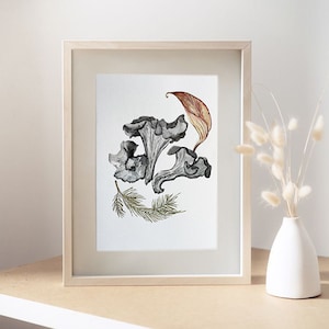 Aquarela / ilustração original