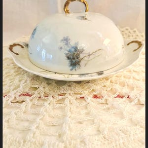 J Pouyat Hand Painted Butter Dish ~ Limoges France ~ 1920&#39;s