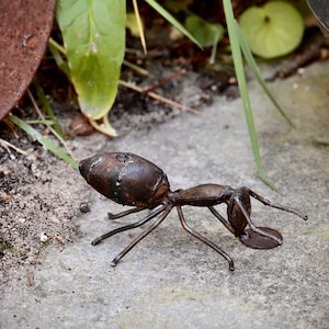 JOLI Ornement De Fourmi, Sculpture En Métal Dessin Animé, Décoration