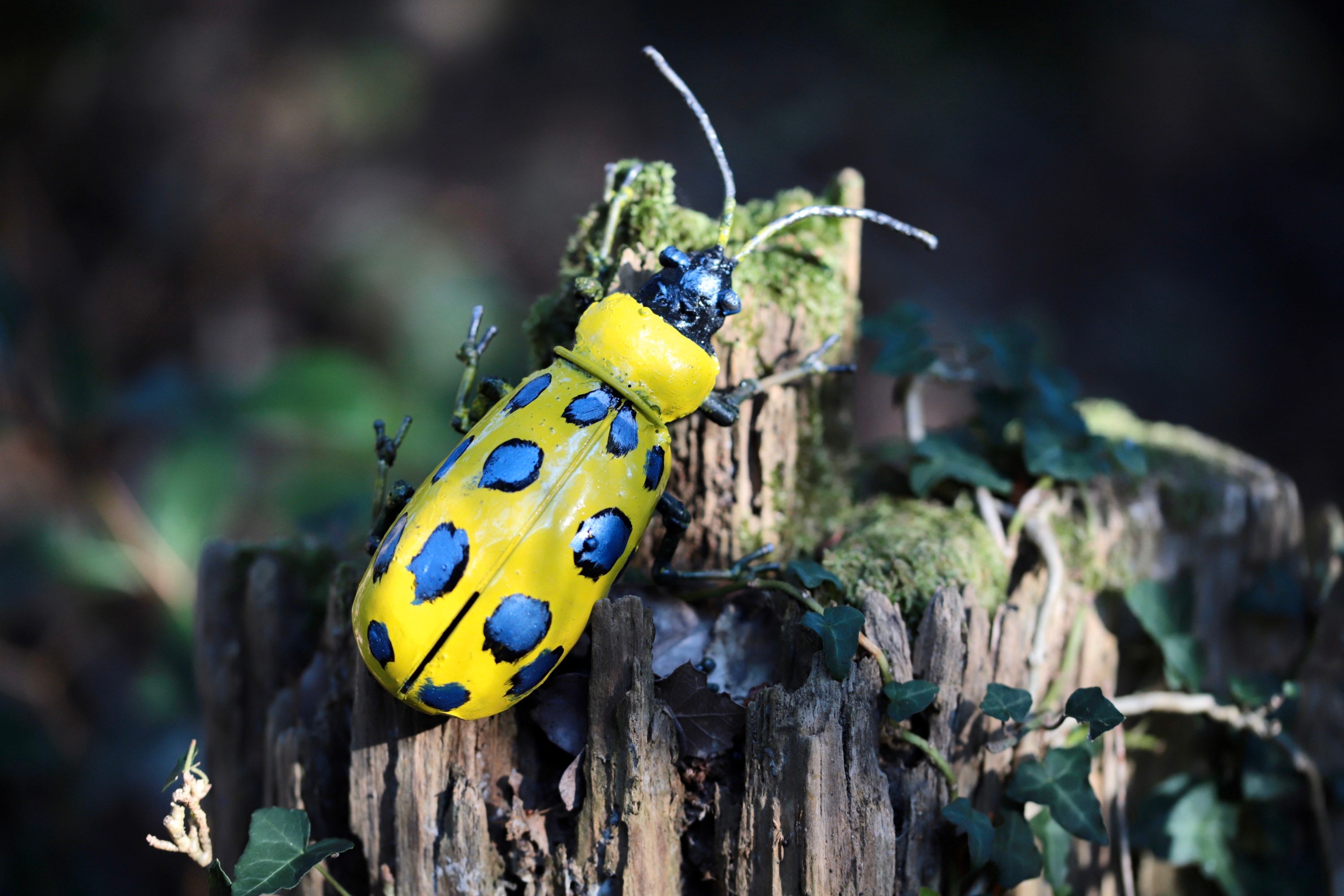 Insecte Concombre à Pois Jaune et Bleu/Objet Déco de Jardin /Déco Intérieur/Peint La Main