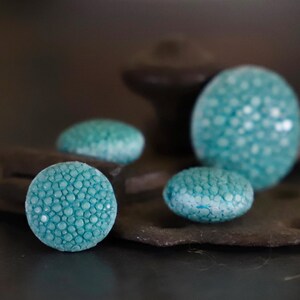 Koralik Marie-Galante ze skóry płaszczki niebieskiej/skóra płaszczki/średnica 17-25 mm