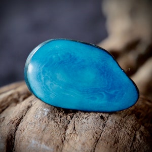 Tagua pearl turquoise blue slice /vegetable ivory /60x40x20mm