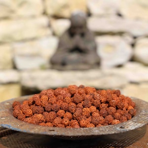 Rudraksha seeds - tears of Shiva / 6 and 8 mm in diameter / 10 pieces / natural color