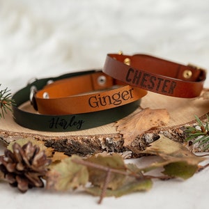 Engraved Cat Collar Personalized with name Vegan Leather Cat Collar with Name Leather Collar for Cats Custom Cat Collar