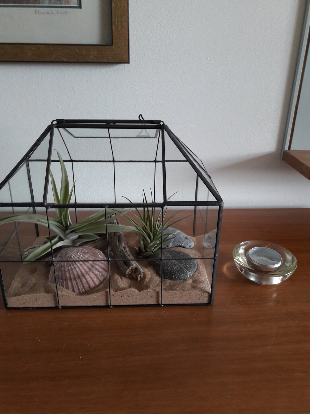 Mini greenhouse Terrarium Kit Etsy