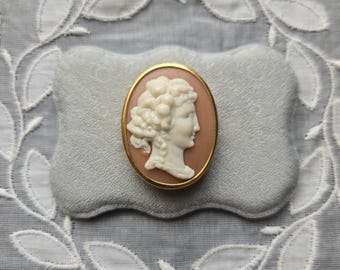 May include: A cameo brooch with a white cameo of a woman's profile set in a gold-toned oval frame. The cameo is on a pink background.