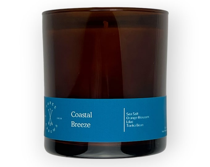 Coastal Breeze Candle | Sea Salt, Lilac, Jasmine Scent | Inspires Relaxation and Tranquility | Handpoured Soy Wax