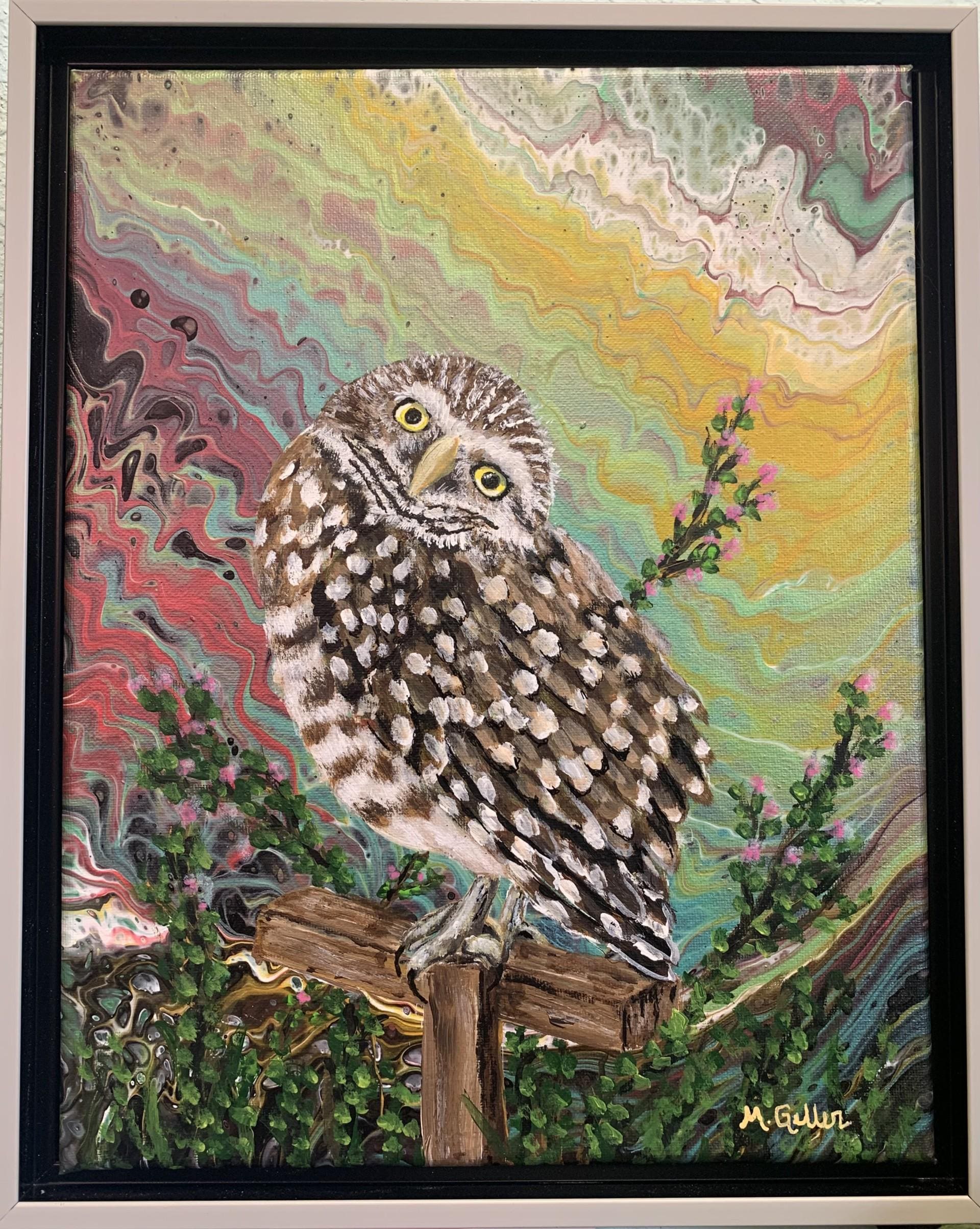 Owl Acrylic Painting - Original 11 x 14 - Framed - Burrowing Owl and flowers - Wild Life - Hand Pain