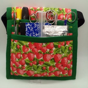 Strawberries, 6 pocket Hip Organizer Bag with Belt, Vet Tech Hip Pack, Nurse tool bag, halloween, RN Scrub Pocket, Nurse Utility Bag