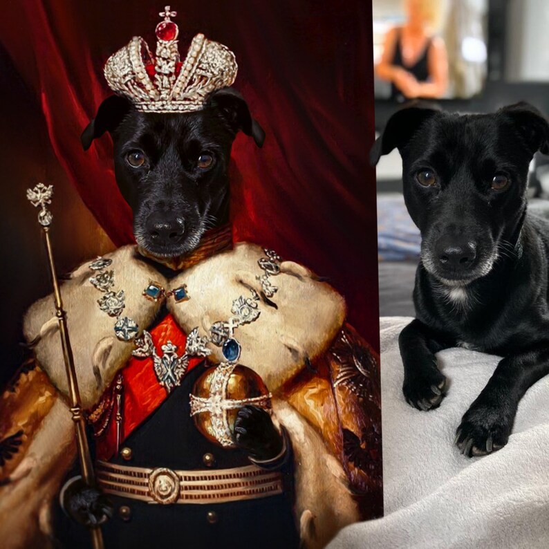 The King Custom Royal Pet Portrait Pet Canvas Royal Pet Etsy