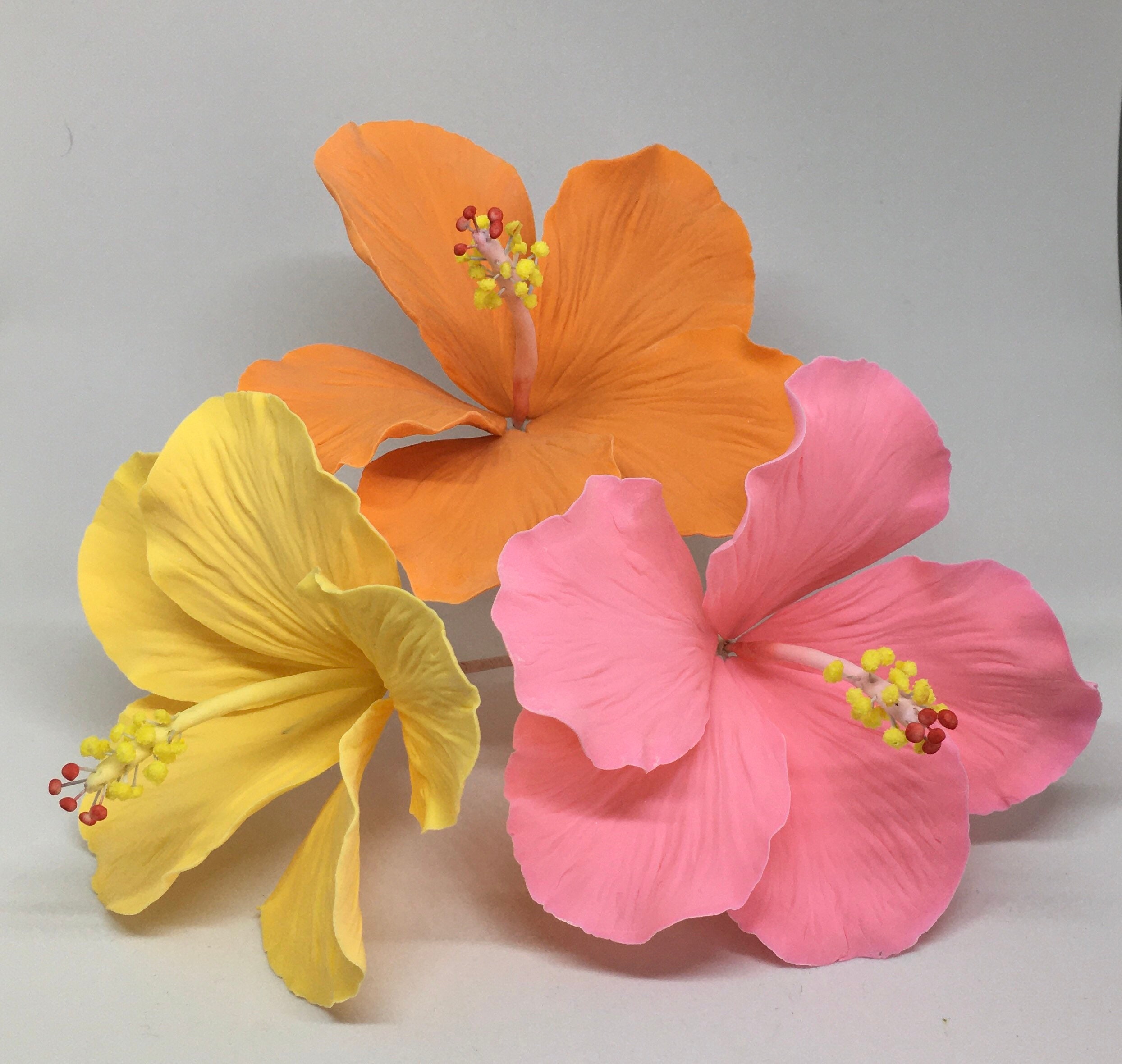 Gumpaste Hibiscus Etsy