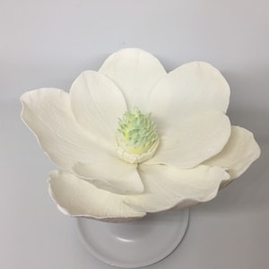 Southern Magnolia Gumpaste Sugar