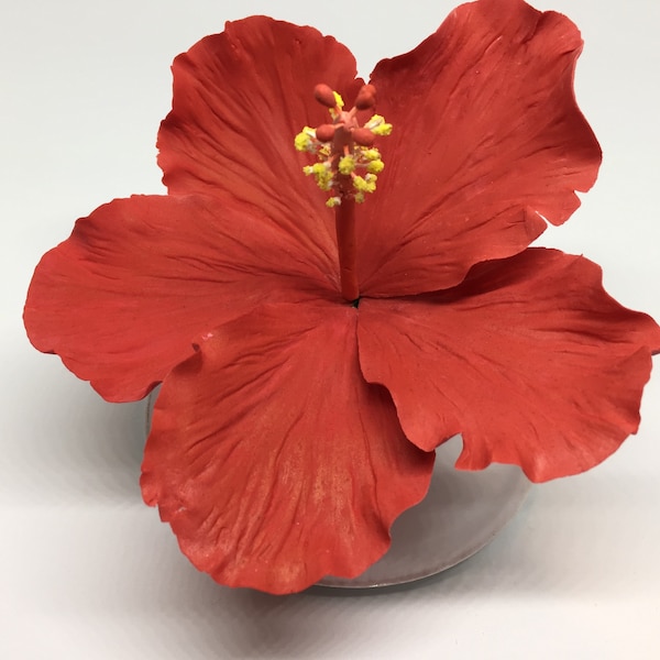Gumpaste Hibiscus Etsy