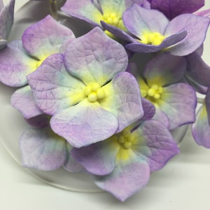 Gumpaste Hydrangeas