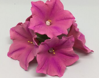 Petunia Gumpaste Sugar