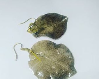 Floral Earrings (dry)