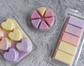Rainbow Drops Wax Melt Clamshells - Fabulosa Cleaning Dupe