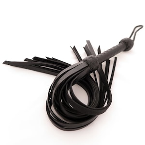 Puede incluir: Un látigo de cuero negro con un mango trenzado y una cola larga y con flecos.