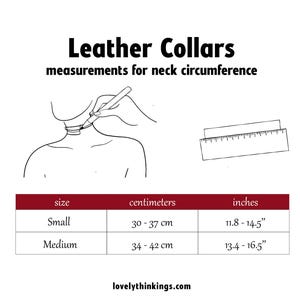 May include: A chart showing leather collar sizes in inches and centimeters. The chart shows the neck circumference for small and medium sizes. The chart is labeled "Leather Collars" and "measurements for neck circumference".