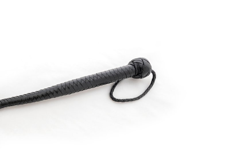 May include: A black leather braided whip with a knotted handle.