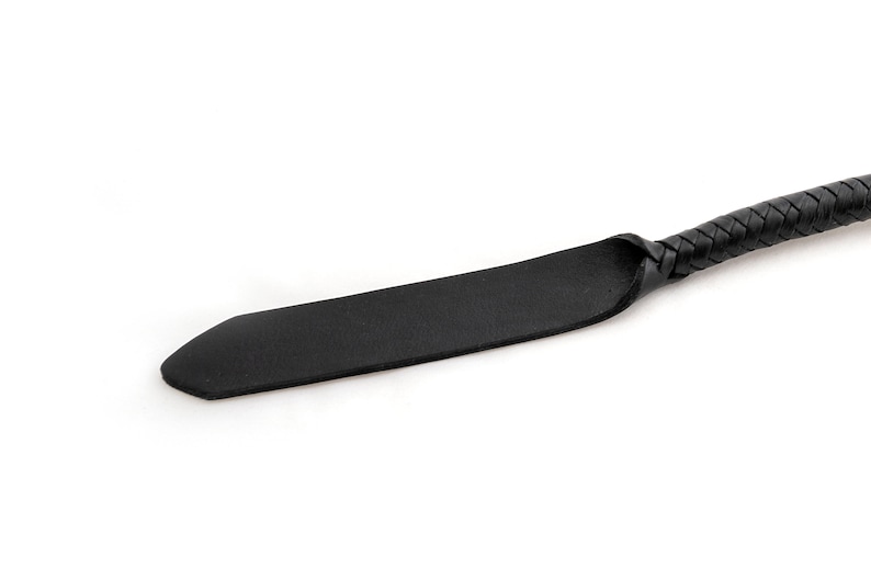 May include: A black leather whip with a braided handle.