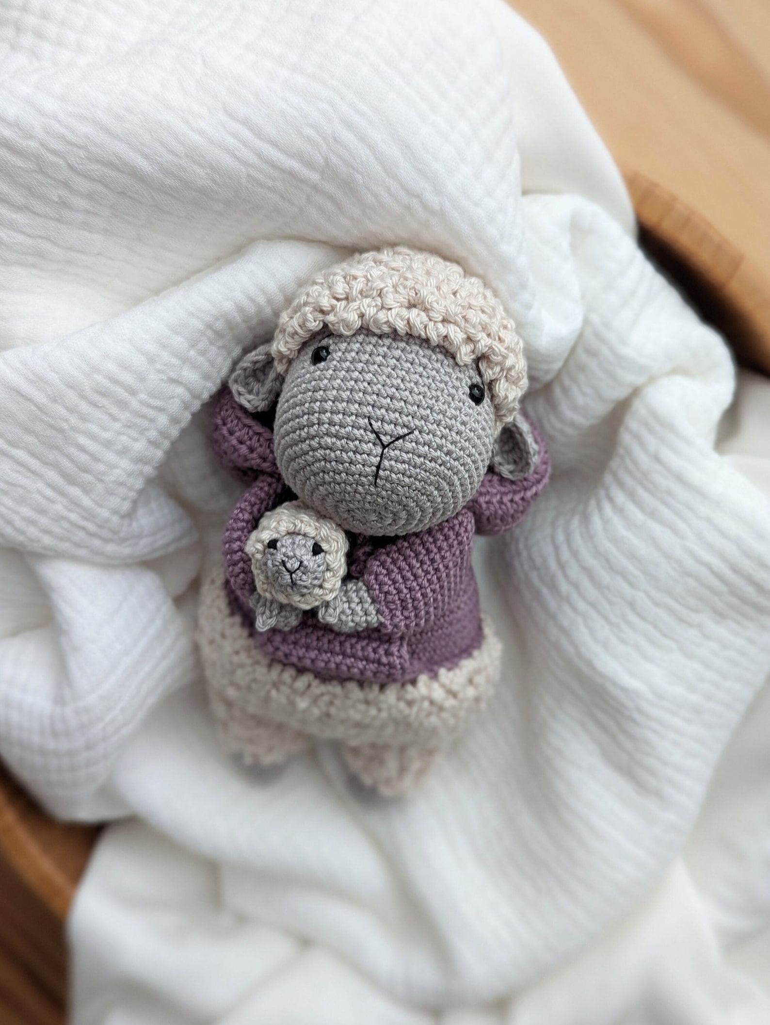 Sheep Wilma and Willi