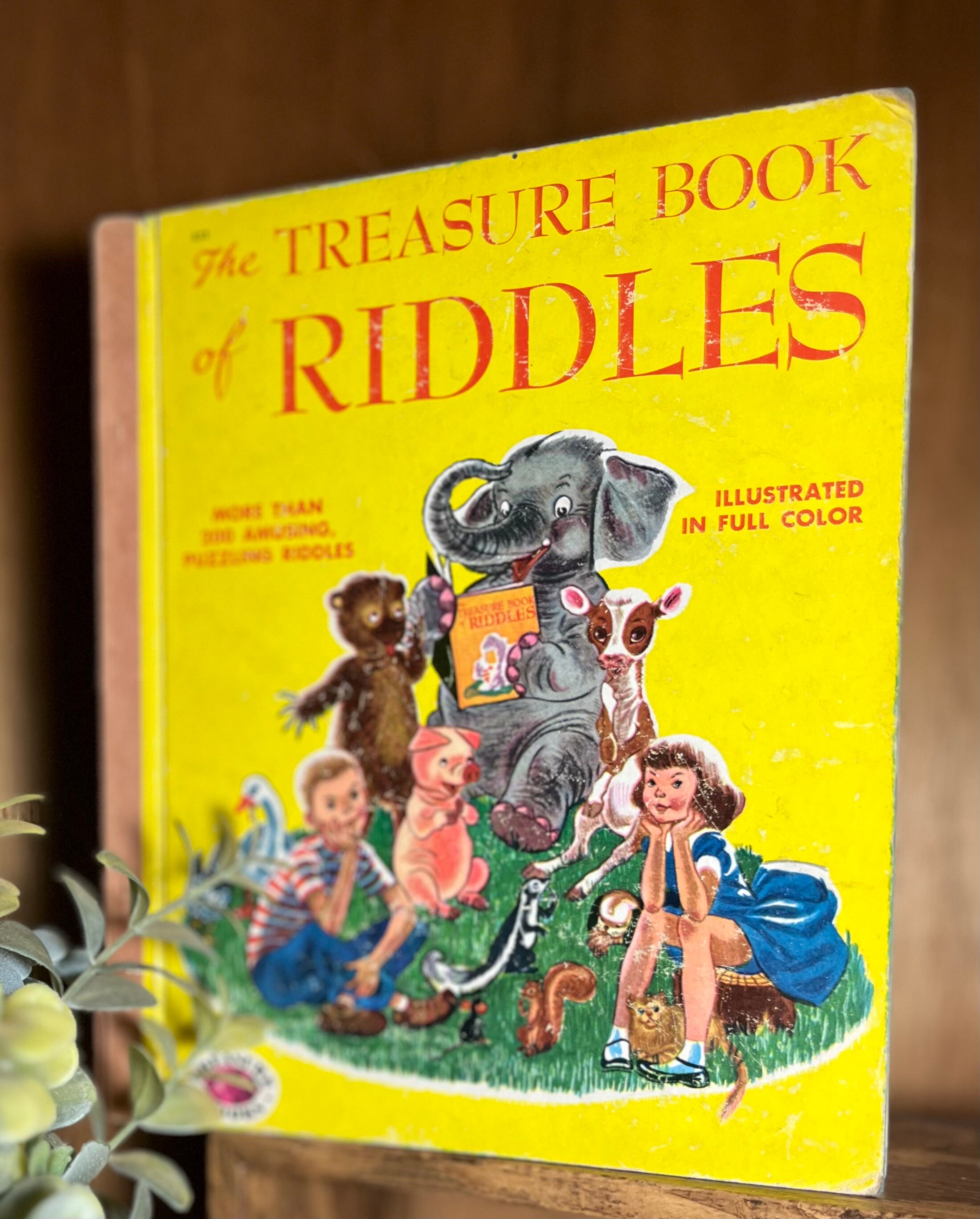The Treasure Book of Riddles - Etsy