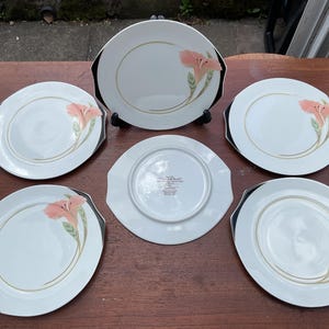 Puede incluir: Un juego de cinco platos de cerámica blanca con forma hexagonal y bordes negros. Cada plato presenta un acento de línea circular dorada y una flor de lirio color melocotón con hojas verdes. Un plato está boca abajo mostrando la marca.