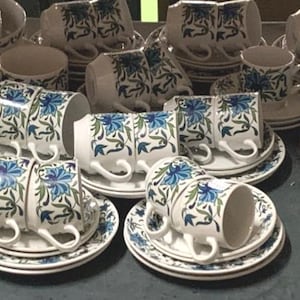 Midwinter Spanish Garden Jesse Tait Dinner Ware, Tea Pot, Coffee Pot, Plates, Bowls etc.