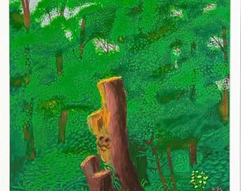 デイヴィッド・ホックニー オリジナル・ヴィンテージ展ポスター 1983