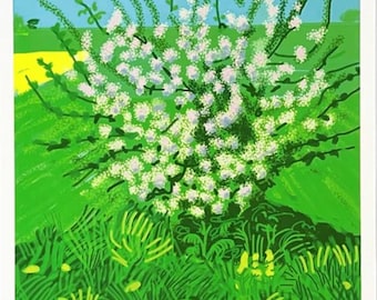 David Hockney Ankunft des Frühlings Originales Galerie Ausstellungsposter 47.5 x 66 cm