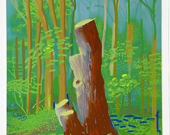 David Hockney Ankunft des Frühlings Originales Galerie Ausstellungsposter 47.5 x 66 cm